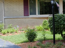 Commercial landscape